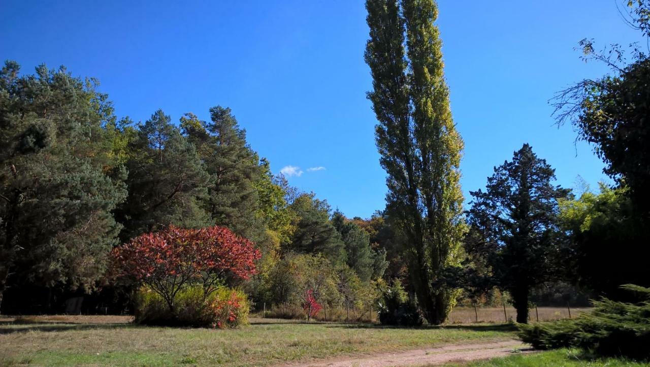 Le Clos Des Archers Laveyssiere Dış mekan fotoğraf